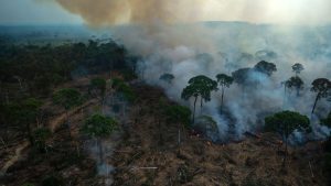 HOW TO SAVE AMAZON RAINFOREST WITH NEMUS NFTS